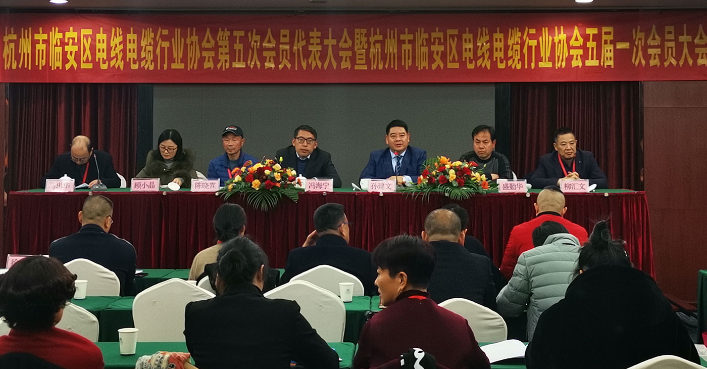 Sun Jianwen Elected New President of Lin'an Wire and Cable Association